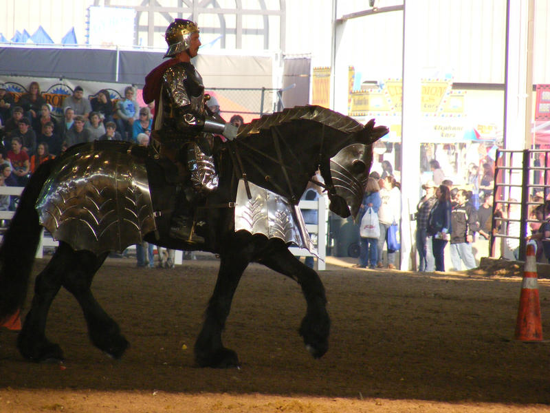 equine affaire 23