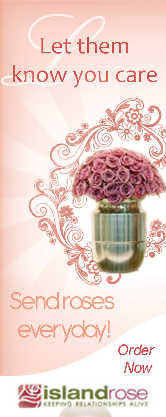 Islander Designs Roses Hd Island rose by mhone2 on DeviantArt