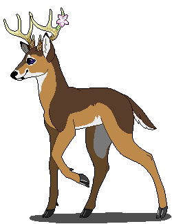 Deer Adopt OPEN