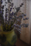 Lavender by Nancy-Anya