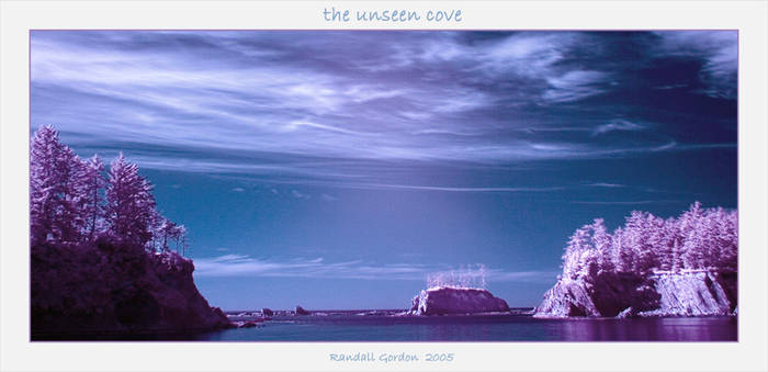 the unseen cove