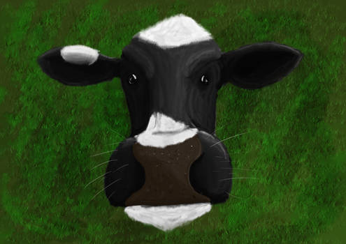 Cow