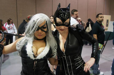 BlackCat and Catwoman