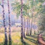 Birch forest