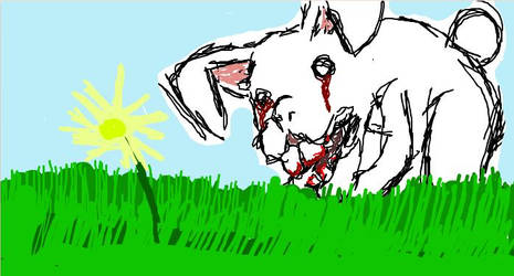 iScribble: White Rabbit