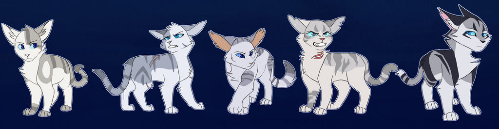 Ivypool Design Ivypool Designs by Owlsparky on DeviantArt
