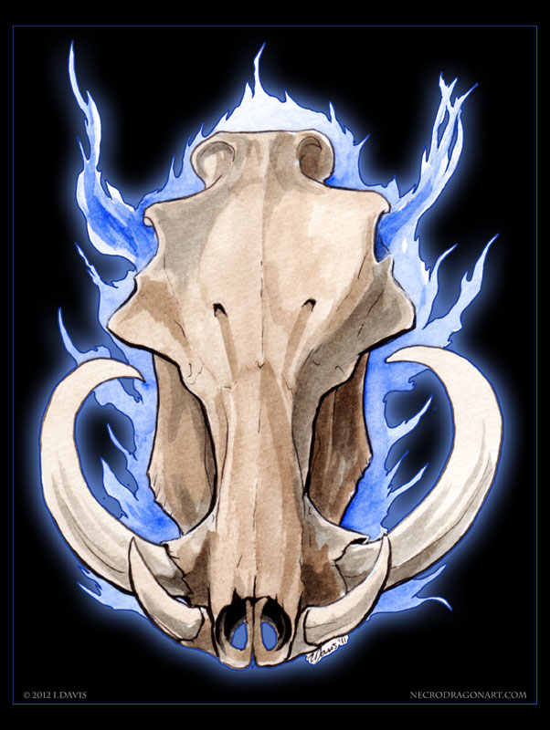 Skull. Warthog