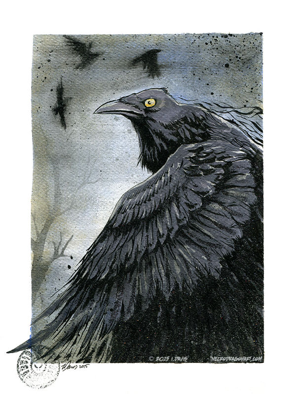 Shadowed Wings by drakhenliche
