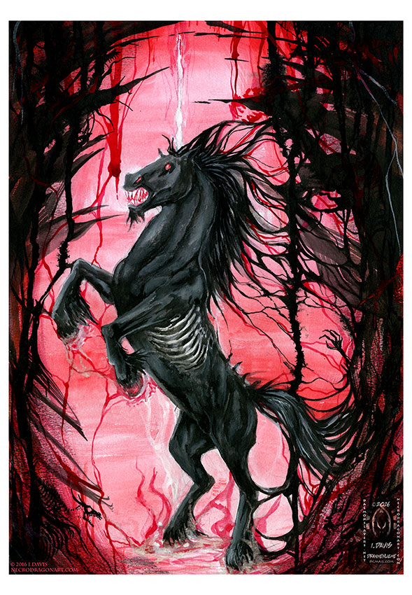 Dark Unicorn