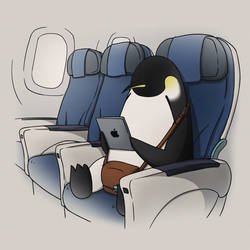 Emperor Penguin on an airplane!