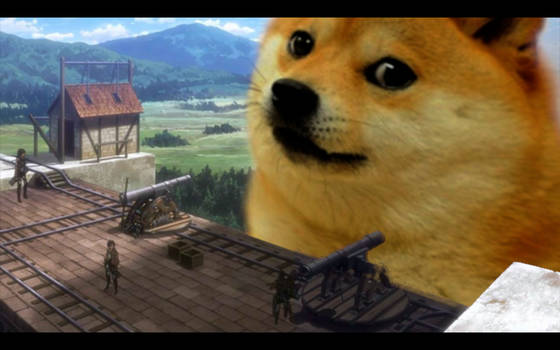 attack on doge