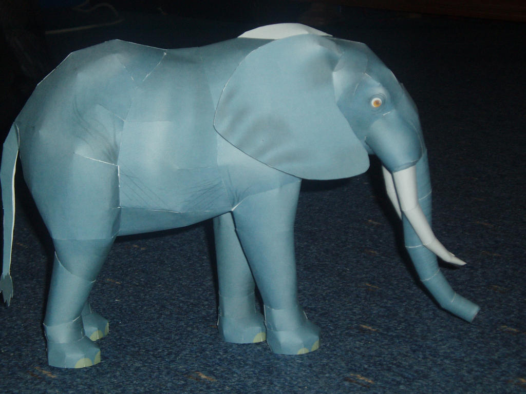 elephant