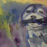 Watercolour Seal