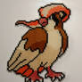 Pidgeot