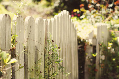 Picket Fence