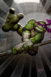 ninja turtle cover  idw