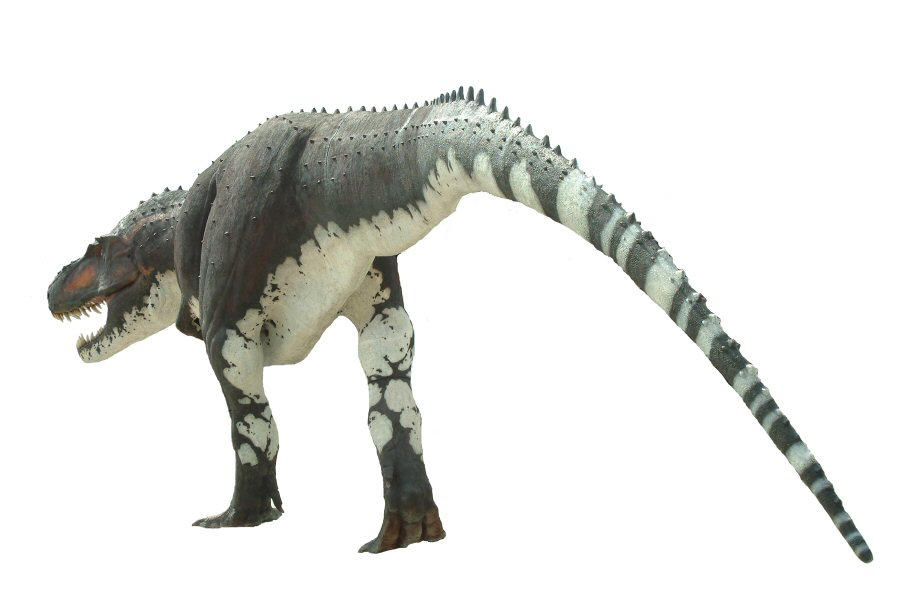 Dinosaur Raaa Roooooooaroar by TRex-a-saurus on DeviantArt