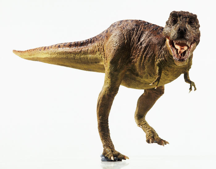 Dinosaur Raaa Raaaar by TRex-a-saurus on DeviantArt