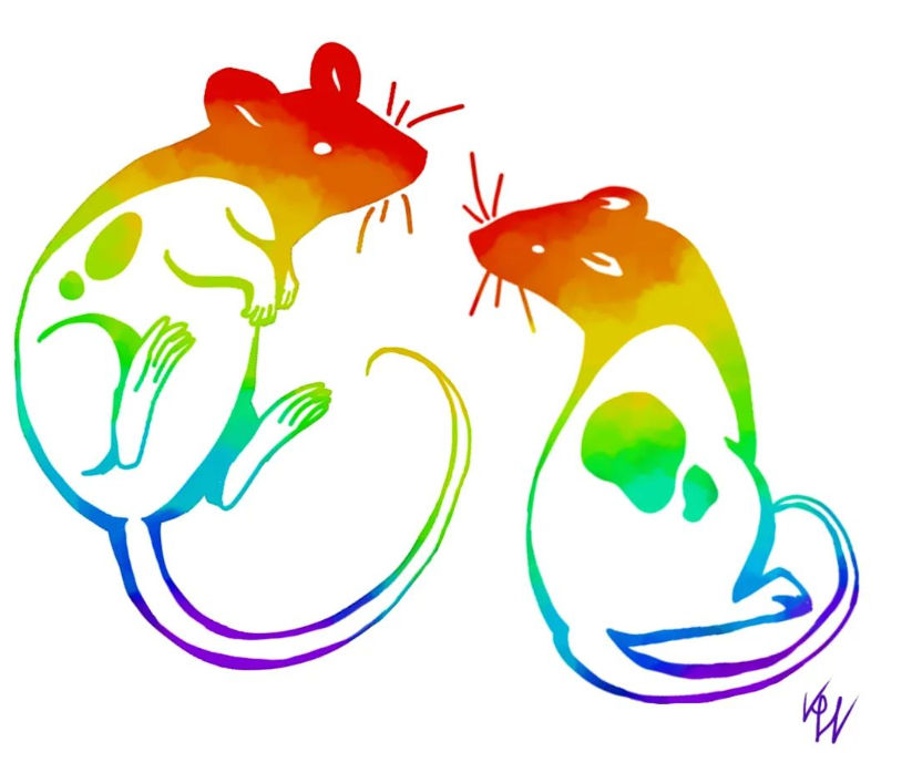 Rainbow rats by Pikarasu on DeviantArt