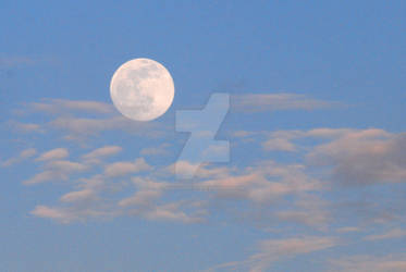 Blue Moon 1