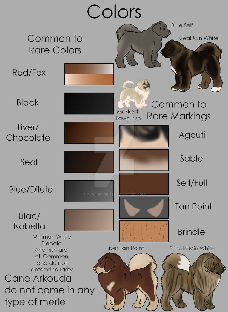 Cane Arkouda Color Rarity Scale by munchkinpups on DeviantArt