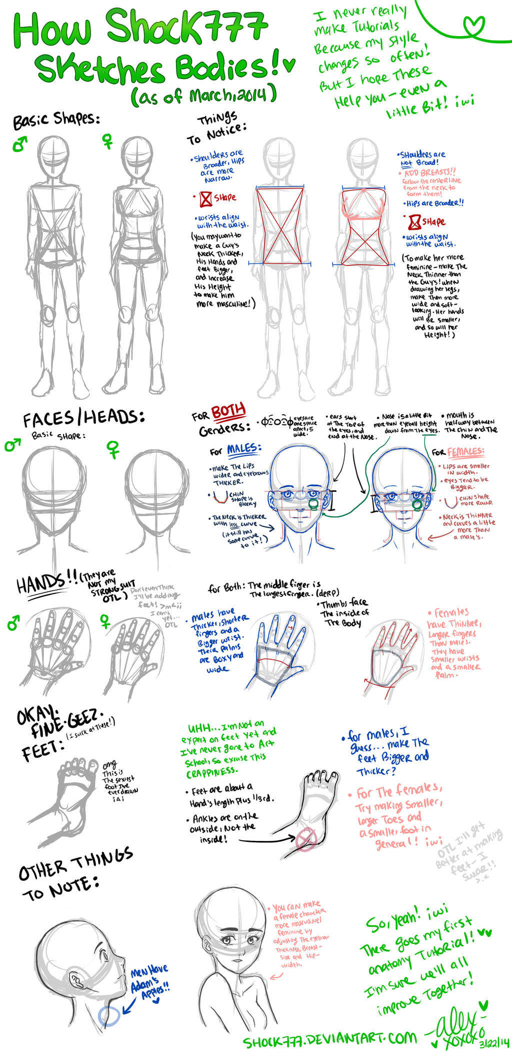 Body Tutorial Thing