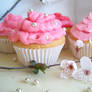 Blossom Cakes II