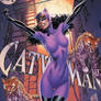 Catwoman 80th Anniversary 4
