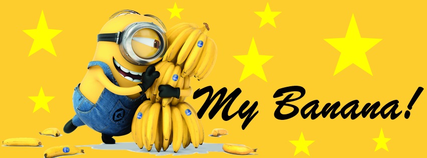 Minions Timeline Cover