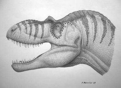 Albertosaurus sarcophagus