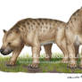 Megistotherium osteothlastes