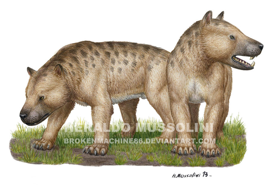 Megistotherium osteothlastes