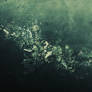 Enigma