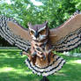 Great Horned Owl