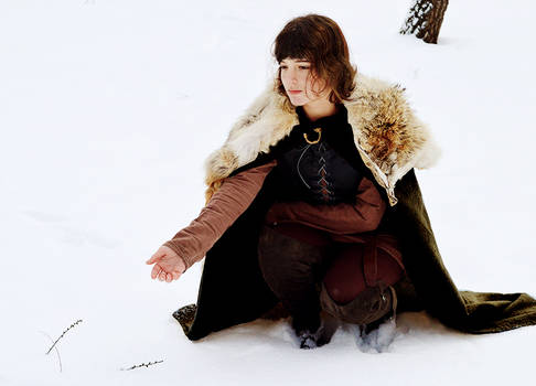 Bran Stark