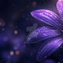 Cosmic purple flower glow