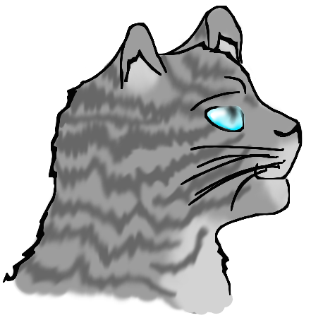 Jayfeather