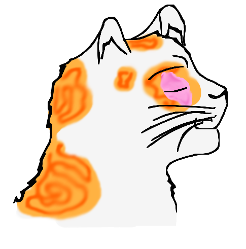 Brightheart headshot