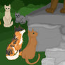 Pinepaw's Apprentice Ceremony