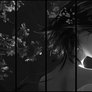 Steam Workshop Showcase - Midnight Bloom Black