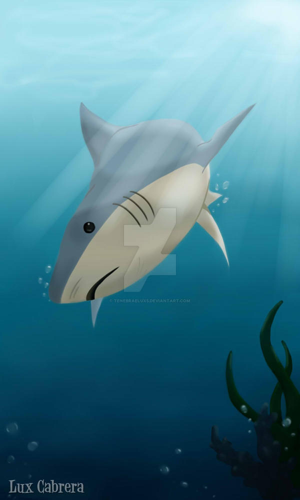 Shark Deviantart Shark by TenebraeLux5 on DeviantArt