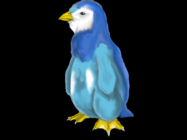 Realistic Piplup-Colored