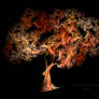 Flames Tree