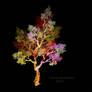 fractal tree 41