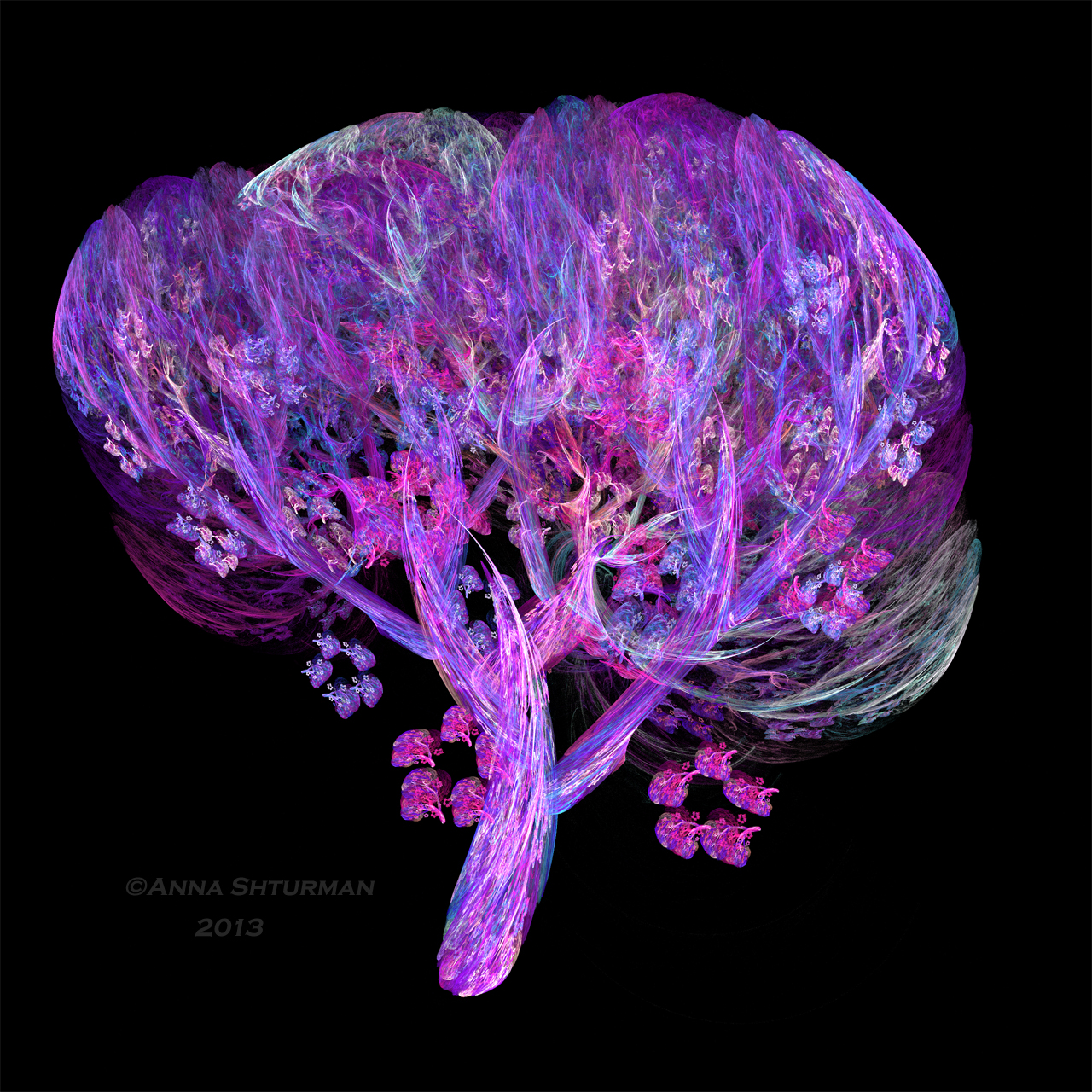 fracnal tree 43