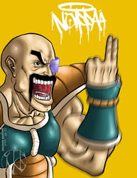 Nappa Cabbage