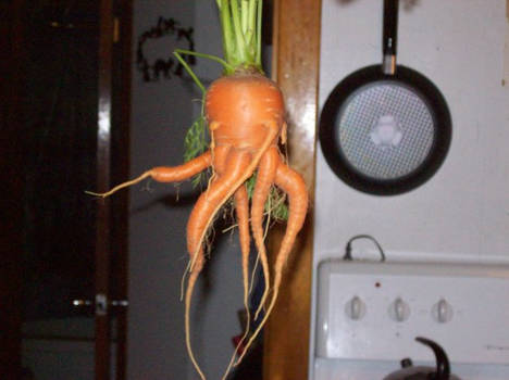 The Carrot God