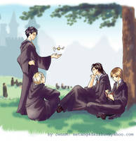 Marauders