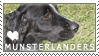 Large Munsterlander Love Stamp