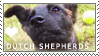 Dutch Shepherd Love Stamp by cloudrat